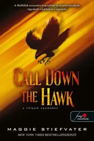 Fantasy, upíri Álmodok-trilógia 1: Call Down the Hawk: A sólyom Nyomában - Maggie Stiefvater,Boldizsár Nagy