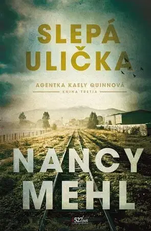 Detektívky, trilery, horory Slepá ulička - Nancy Mehl