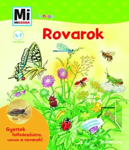 Príroda Rovarok - Kukucskáló ablakokkal - Mi Micsoda Junior - Bärbel Oftring