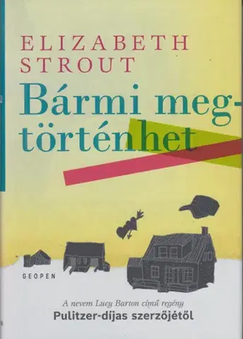 Svetová beletria Bármi megtörténhet - Elizabeth Stroutová,Anna Todero