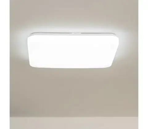 Svietidlá BRILAGI - LED stropné svietidlo OPAL LED/24W/230V LCL413S/S-OEM