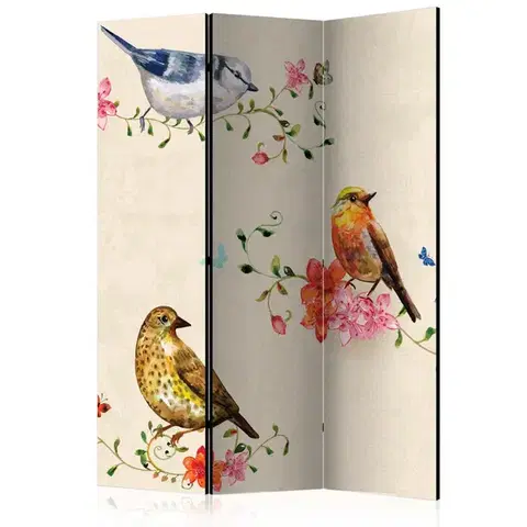 Paravány Paraván Bird Song Dekorhome