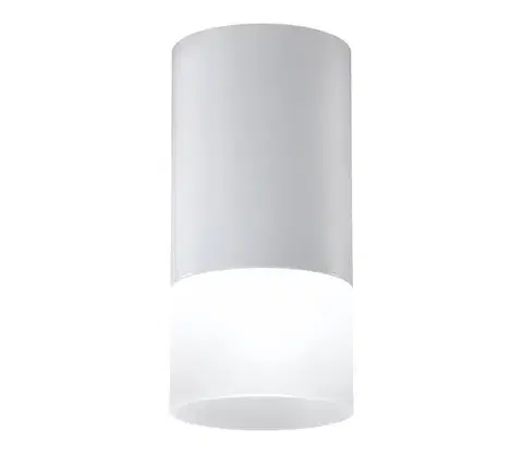Svietidlá  Bodové svietidlo TUBA 1xGU10/15W/230V šedá/biela 2273686
