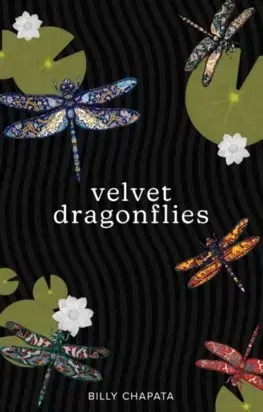Svetová poézia Velvet Dragonflies - Billy Chapata