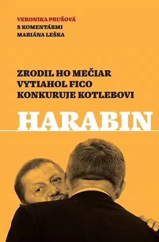 Sociológia, etnológia Harabin - Veronika Prušová,Marián Leško