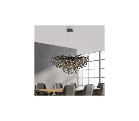 Svietidlá Paul Neuhaus 2192-18 - Závesný luster na lanku ICICLE 10xG9/40W/230V 50x100 cm čierna 2192-18