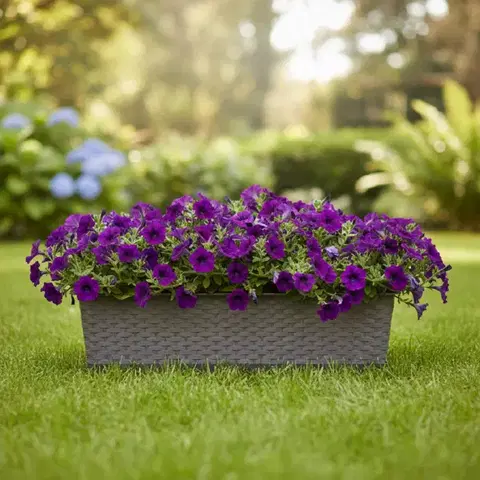 Záhradné kvetináče ProsperPlast Kvetináč RATOLLA CASE | mocca 58,7 cm