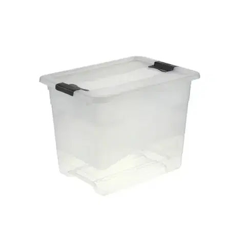 Dekorácie a bytové doplnky Úložný box Crystal 24l