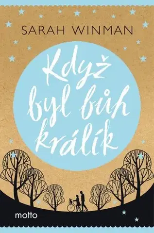 Svetová beletria Když byl bůh králík - Sarah Winman,Petra Diestlerová