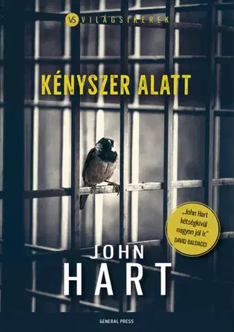 Detektívky, trilery, horory Kényszer alatt - John Hart