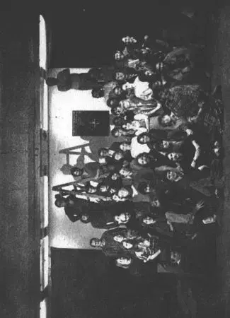 Divadlo - teória, história,... Divadlo a společnost kolem roku 1989 - Bohumil Nekolný