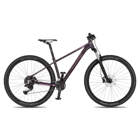 Bicykle Dámsky horský bicykel 4EVER Ibiza Twenty Lady 29" - model 2026 violet/hologram - M (18", 165-178 cm)