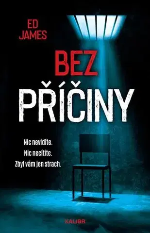 Detektívky, trilery, horory Bez příčiny - Ed James