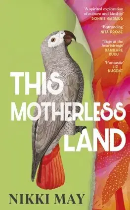 Svetová beletria This Motherless Land - Nikki May