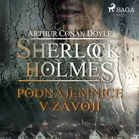 Detektívky, trilery, horory Saga Egmont Podnájemnice v závoji