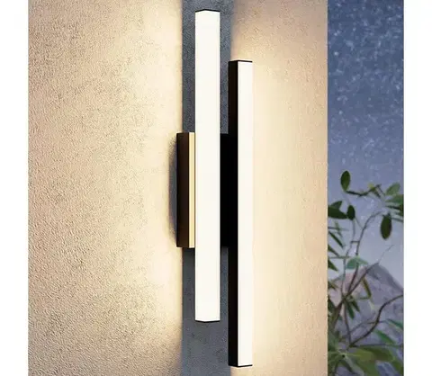 Svietidlá Eglo 900133 - LED Vonkajšie nástenné svietidlo SARRICELLA 2xLED/4,2W/230V IP55 900133