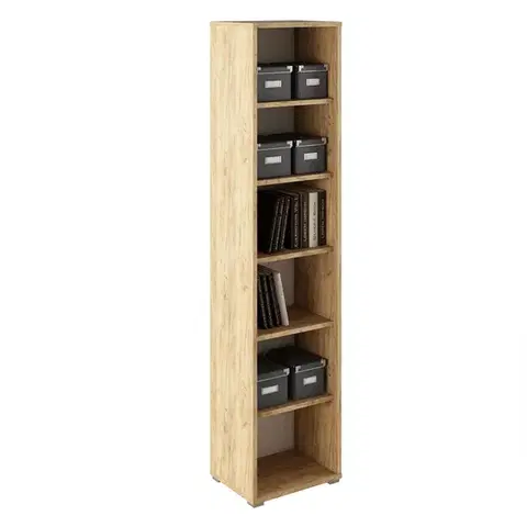 Regály a poličky KONDELA Rioma Typ 02 regál dub artisan / biela