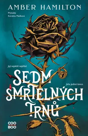 Young adults Sedm smrtelných trnů - Amber Hamilton