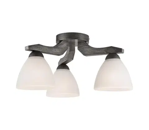 Svietidlá  Prisadený luster ADRIANO 3xE27/60W/230V LM 3.55