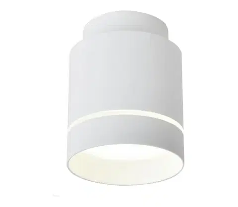 Svietidlá  LED Stropné svietidlo TUBA LED/12W/230V 2275918