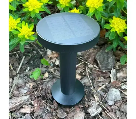 Záhradné lampy Zuma Line DT33611 - LED Solárna lampa CARLI LED/2W/2000 mAh IP44 čierna DT33611
