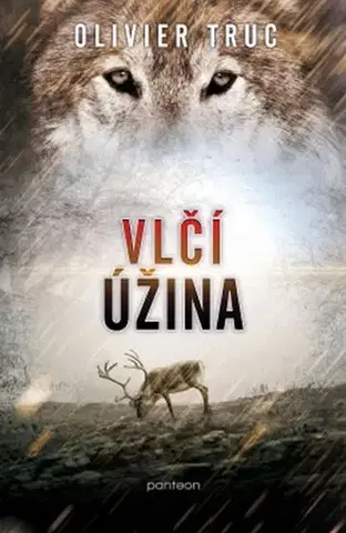 Detektívky, trilery, horory Vlčí úžina - Olivier Truc