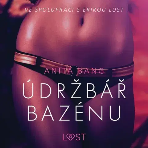 Erotická beletria Saga Egmont Údržbář bazénu – Sexy erotika
