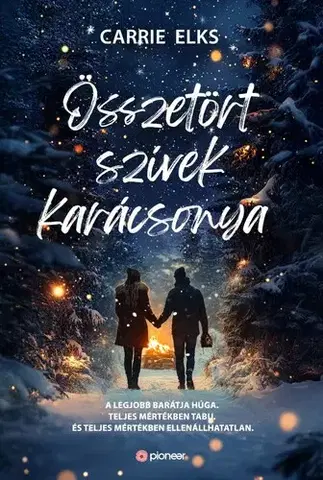Romantická beletria Összetört szívek karácsonya - Carrie Elks