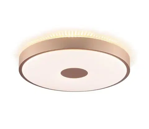 Svietidlá Brilliant - LED stropné svietidlo TAVIS LED/24W/230V pr. 44,5 cm ružové zlato G81440/10
