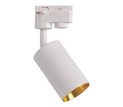 Svietidlá  Bodové svietidlo do lištového systému MARIBEL 1xGU10/10W/230V biela 321701