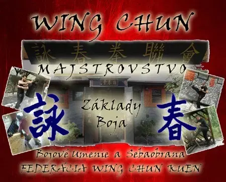 Bojové umenia Wing Chun Majstrovstvo - Základy Boja + DVD - Juraj Povinec