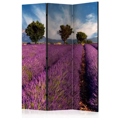Paravány Paraván Lavender field in Provence, France Dekorhome