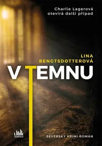 Detektívky, trilery, horory V temnu - Lina Bengtsdotterová