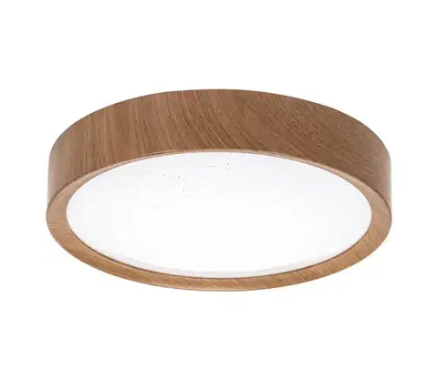 Svietidlá  B.V.  - LED Stropné svietidlo LED/12W/230V 6500K pr. 26,3 cm B103101BR