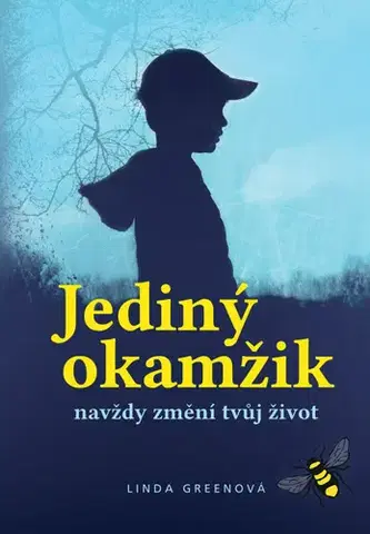 Detektívky, trilery, horory Jediný okamžik - Linda Green,Zdík Dušek
