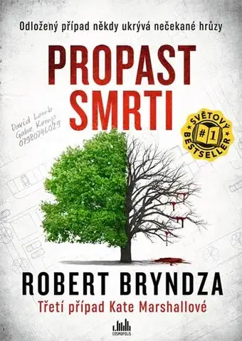 Detektívky, trilery, horory Propast smrti (Kate Marshallová 3) - Robert Bryndza