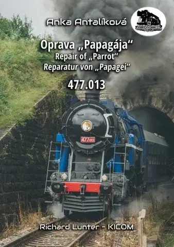 Hobby - ostatné Oprava „Papagája“ 477.013 - Anka Antalíková