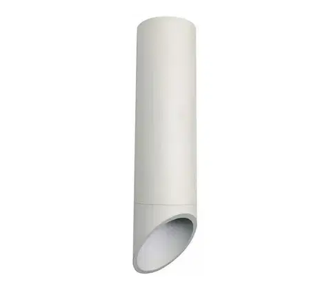 Svietidlá  Stropné svietidlo VALDA 1xGU10/60W/230V biela SKU013378