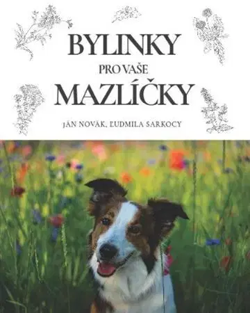 Prírodná lekáreň, bylinky Bylinky pro vaše mazlíčky - Ján Novák