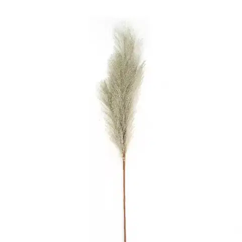 Záhradné dekorácie Umelá tráva Plume 77 cm