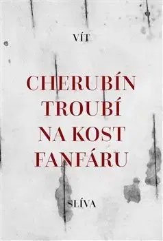 Česká poézia Cherubín troubí na kost fanfáru - Vít Slíva
