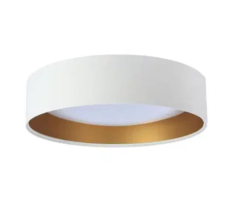 Svietidlá  LED stropné svietidlo GALAXY LED/24W/230V biela/zlatá FG-BS0003