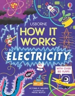 Veda a technika How It Works: Electricity - Victoria M. Williams,Miguel Bustos