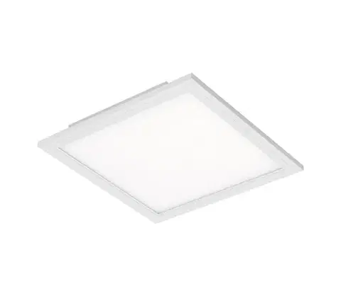 Svietidlá Briloner 7191-016 - LED Stropné svietidlo SIMPLE LED/12W/230V 7191-016