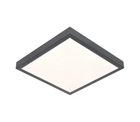 Svietidlá  LED Stropné svietidlo VITALI LED/24W/230V SKU011656