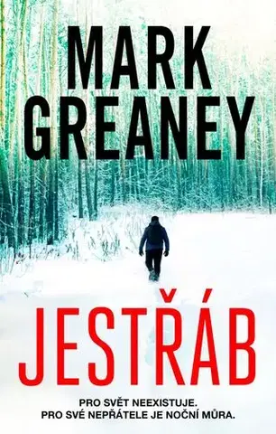 Detektívky, trilery, horory Jestřáb - Mark Greaney