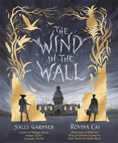 Young adults The Wind in the Wall - Sally Gardner