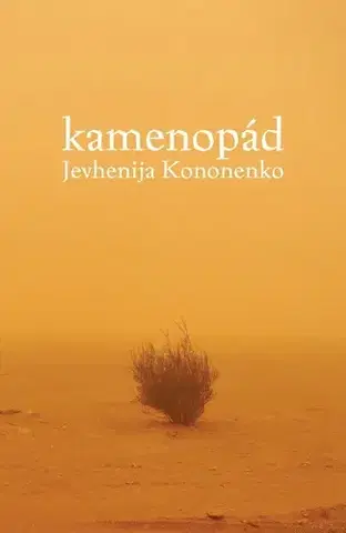 Svetová beletria Kamenopád - Jevhenija Kononenko,Jiřina Dvořáková