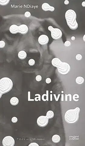 Svetová beletria Ladivine - Marie Ndiaye