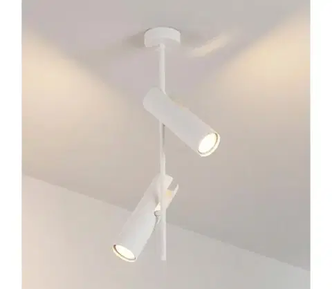 Svietidlá BRILAGI - Luster na tyči BRANCH 2xGU10/30W/230V biela WO-N10-02-WHT-OEM